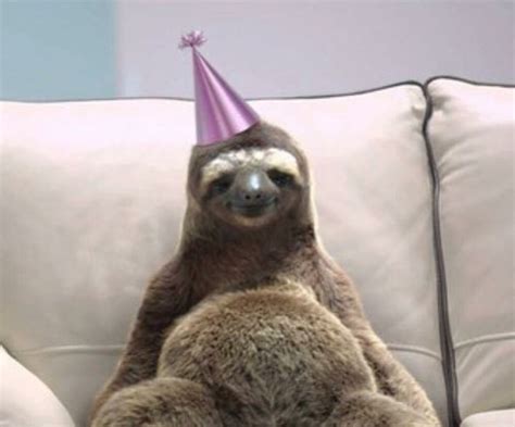 happy birthday sloth  curtis redbubble