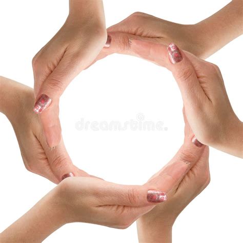 hands  circle  white background stock photo image  human circle