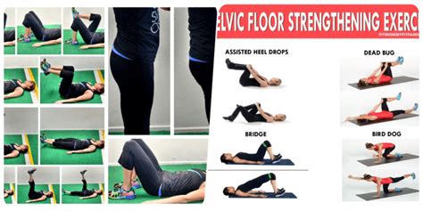 How Pelvic Exercise Help To Improve Your Endurance Naturally