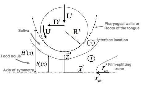 schematic diagram  definitions  notations  scientific diagram