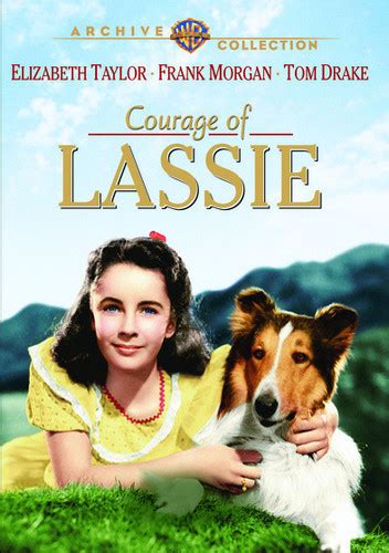 courage of lassie manufactured on demand mono sound on tcm shop