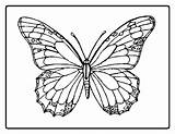 Colorat Fluture Aripi Fluturi Colorate Planse Sfatulmamicilor Plansa sketch template