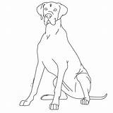 Dane Great Coloring Pages Dog Line Clipart Kennels Template Drawings Library Deviantart Lps Sketch Lineart Popular Coloringhome sketch template