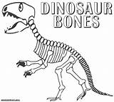 Esqueleto Dinosaurio Dinosaurios Mascota Albanysinsanity Armar Colouring Rex sketch template