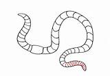 Worm Draw Drawing Easy Part Step Segments Finally Finished Last Easyanimals2draw sketch template