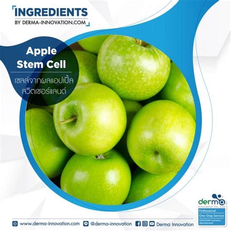 apple stem cell derma innovation