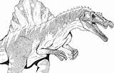 Spinosaurus Coloring Printable Coloringtop Via sketch template