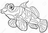 Fish Mandarin Angler Coloring Pages Tuna Cartoon Getcolorings Getdrawings Stock sketch template