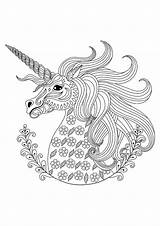 Licorne Coloriage Unicorn Adulte Licornes Coloring1 sketch template