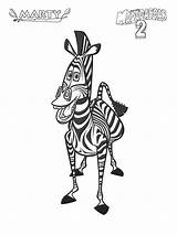 Pages Marty Zebra Coloring Printable Recommended Color sketch template
