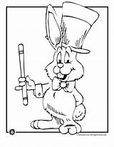 Magic Coloring Rabbit Pages Bunny Kids Activities sketch template