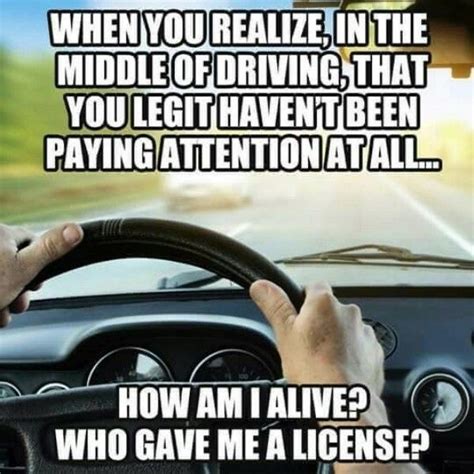 pin    humor funny driving quotes bad driver memes driving humor