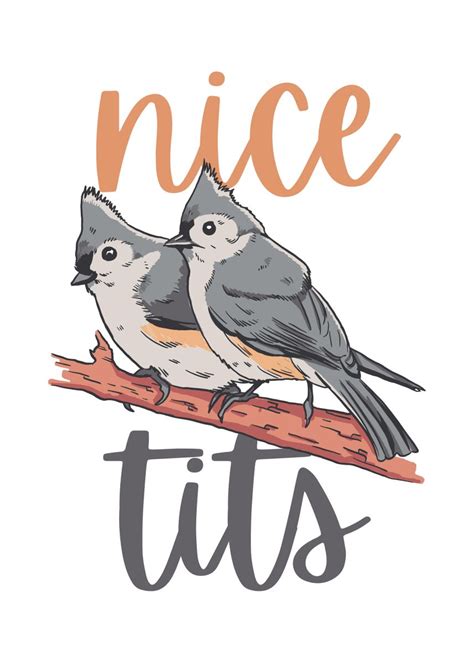 nice tits tufted titmouse poster by qwertydesigns displate