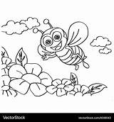 Bee Coloring Pages Vector Vectorstock Royalty sketch template