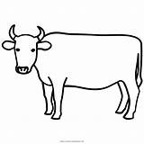 Vaca Kuh Cow Ox Ultracoloringpages Clipartmag Uma Nicepng Komputer Ando sketch template