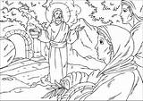 Auferstehung Kleurplaat Ausmalbild Jezus Verrijzenis Malvorlage Paasverhaal Auferstanden Resurrection Ausmalen Zum Jesu Kleurplaten Ostern Resurrecion Pasen Jefdejager Ensino Religioso Paracolorear sketch template