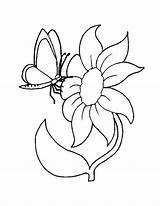 Fiore Schmetterling Blume Farfalla Blumen Grosse Ausmalbild Pintarcolorir sketch template