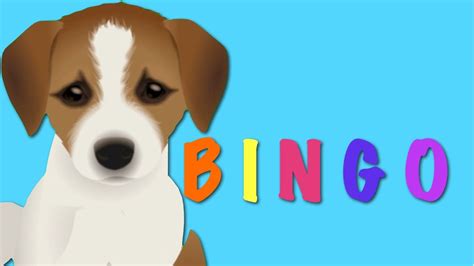 bingo dog song nursery rhyme kids animation rhymes doovi