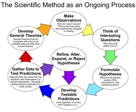 describe  meaning  analysis synthesis  scientific method