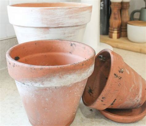 cleaning flower pots  chemicals flower pots terracota pots
