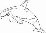 Coloring Orca Whale Killer Kids sketch template