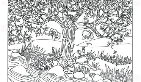 hd tree coloring page  adults   coloring page image coloring