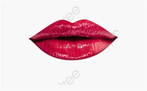 closed lips clipart   cliparts  images  clipground