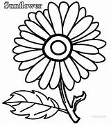 Coloring Pages Flower Single Color Printable Print Colorings Getcolorings sketch template