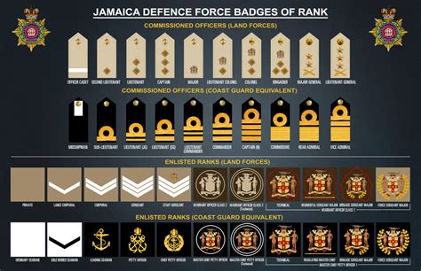 badges  rank jdforg  official website   jamaica defence force