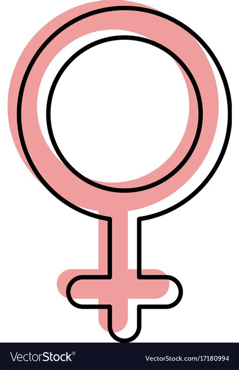 gender symbol  women  white background vector image