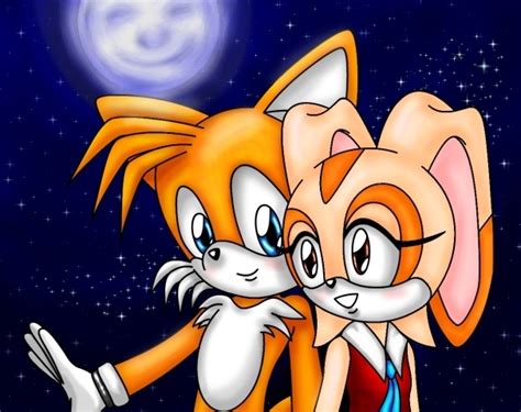 which sonic x couple do you perfer poll results sonic x