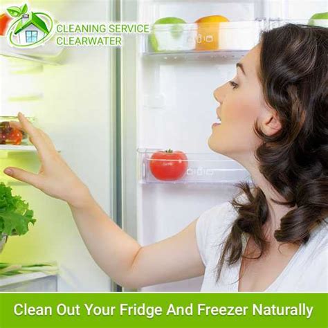clean   fridge  freezer naturally cleaning service clearwater
