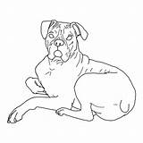 Boxer Dog Coloring Pages Down Lying Color Print Printable Bowl Kids Template Getcolorings Button Using Paper Pug sketch template