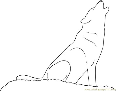 wolf howling coloring page  kids  wolf printable coloring