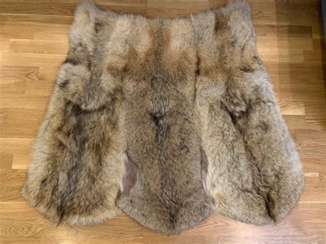 fur rug real fur rug north caucasian wolf fur rug home etsy