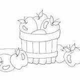 Bushel Apple sketch template