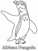 Coloring Penguin Pages Penguins Printable Animals African Cartoon Clipart Drawing Kids Book Print Board Library Animal Zoo Getdrawings Colouring Bird sketch template