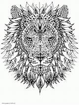 Coloring Lion sketch template