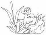 Ugly Coloring Duckling Pages Bird Hatches Ws sketch template