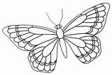 Butterfly Template Drawing Outline Templates Zentangle Blank Patterns Coloring Drawings Animal Zendoodle Pattern Parchment Wings Pages Stencil Sketch Choose Board sketch template