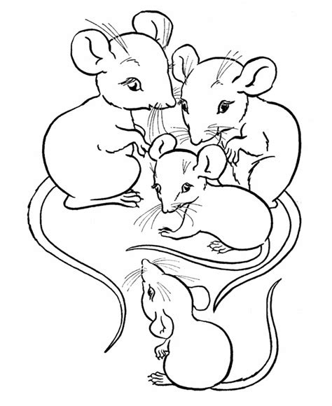 printable mouse coloring pages  kids