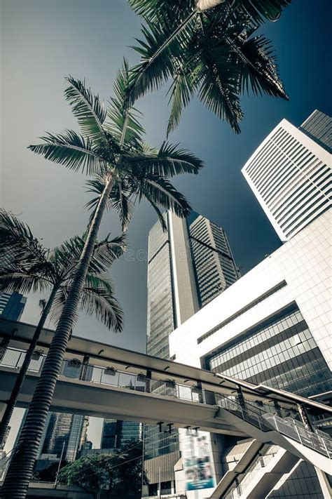 abstract futuristic hong kong cityscape stock photo image  exterior futuristic