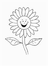 Soarelui Floarea Colorat Plansa Planse Flori Frumoasa Cea Clopotel sketch template