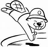 Beaver Scouts Coloring Kids Pages Popular Library Clipart sketch template