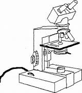 Microscope Compound Clipground sketch template