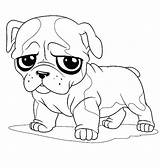 Bulldog Coloring Pages Cute Drawing Little Pug American French Face English Line Printable Bulldogs Color Sad Getcolorings Bowl Inside Happy sketch template