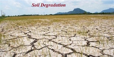 soil degradation types