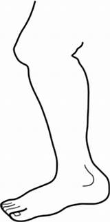 Leg Clipart Clip Drawing Legs Cartoon Clker Vector Shin Feet Kaki Cliparts Stomping Limb Outline Line Royalty Human 86kb Clipground sketch template
