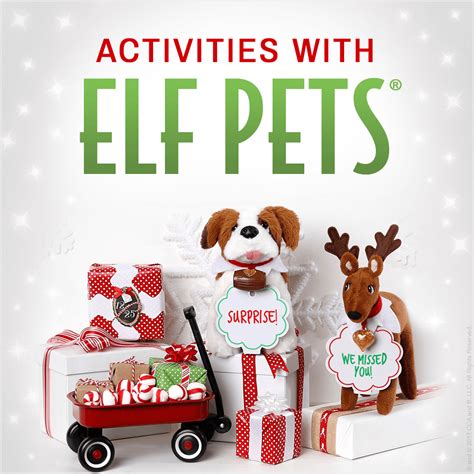 exciting activities      elf pets  elf