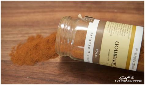 homemade cinnamon mouthwash for bad breath everyday roots